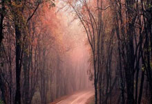 开云体育app-西悉尼流浪者主场氛围火爆，球迷热情助阵