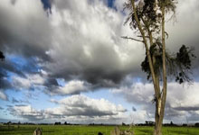 开云体育在线-安联奇迹夜！拜仁血色逆袭撕裂欧冠夜幕