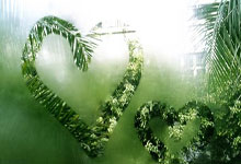 开云体育平台APP-西悉尼流浪者训练基地开放，备战世俱杯进入冲刺阶段