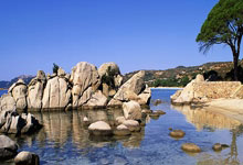 开云体育平台APP-黑森林警报！弗赖堡悬崖边的900分钟生死时速