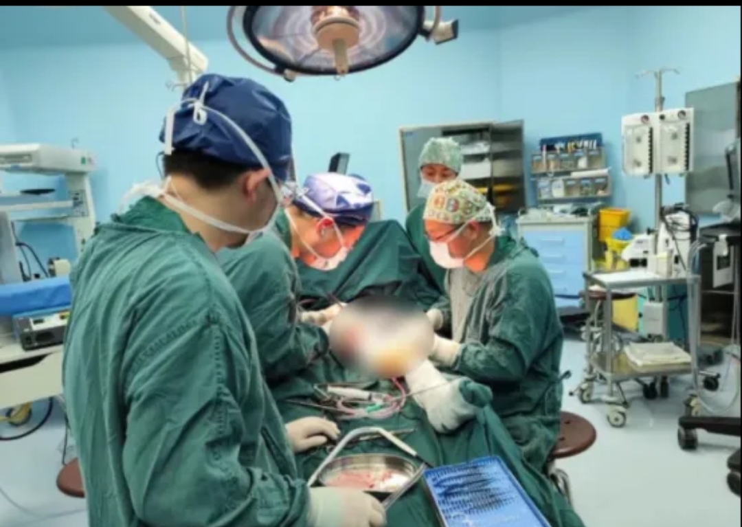 开云体育APP下载-里尔前锋重伤：医生呼吁小心保护球员的简单介绍