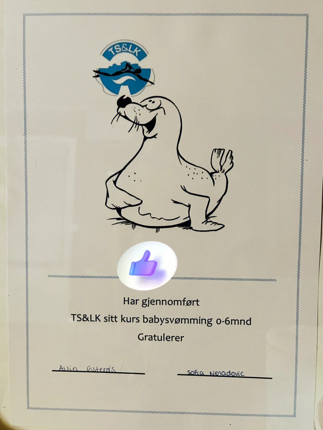 挪威游泳选手神乎其技,夺得银牌 挪威游泳选手神乎其技,夺得银牌