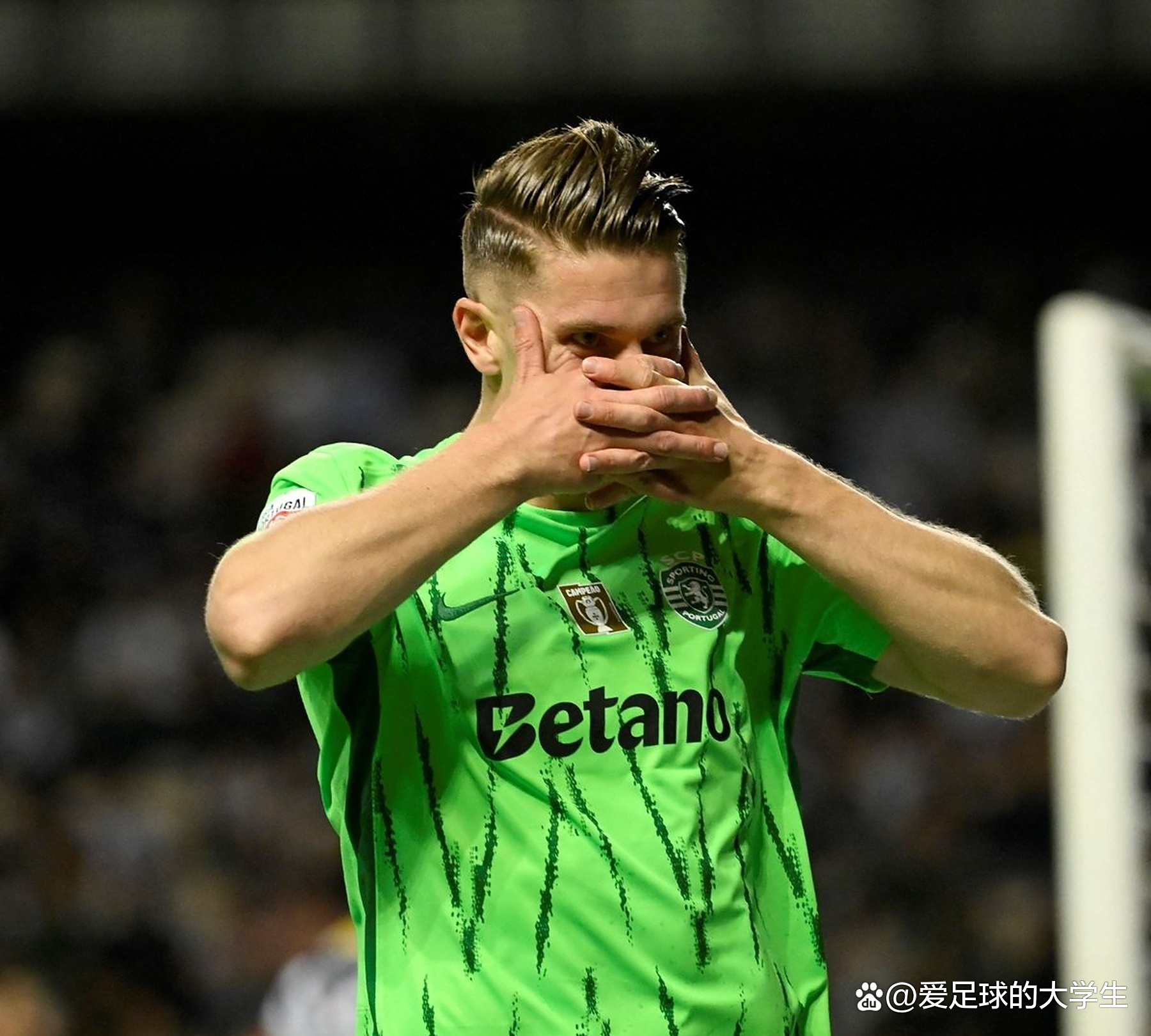 开云体育官方网站-瑞典篮球职业球员转会传闻不断，未来未卜