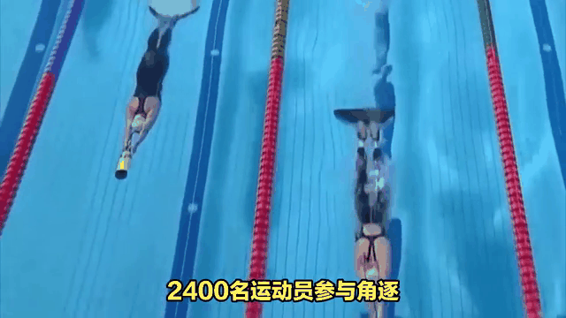 塞浦路斯游泳选手表现出色，斩获金牌