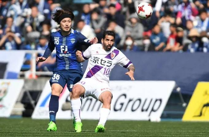 关于京都不死鸟斗志昂扬，斗志昂扬航向冠军的信息