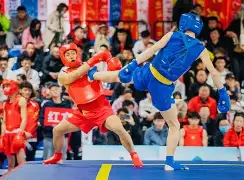 散打选手拂尘登顶,霸气十足 散打选手拂尘登顶,霸气十足