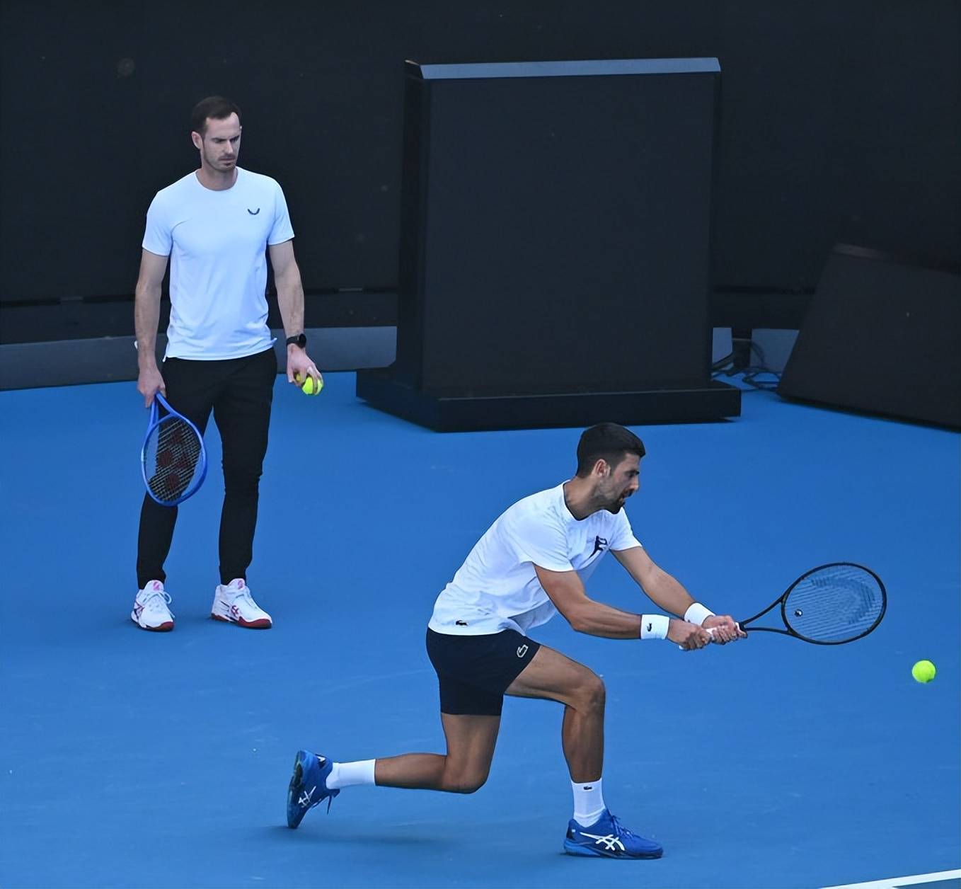 关于法网完胜澳网,穆雷统治全场的信息 关于法网完胜澳网,穆雷统治全场的信息