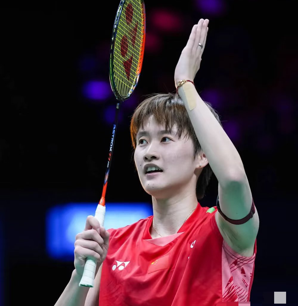 开云体育下载-印尼队绝杀法国队，陈雨菲高光表现的简单介绍