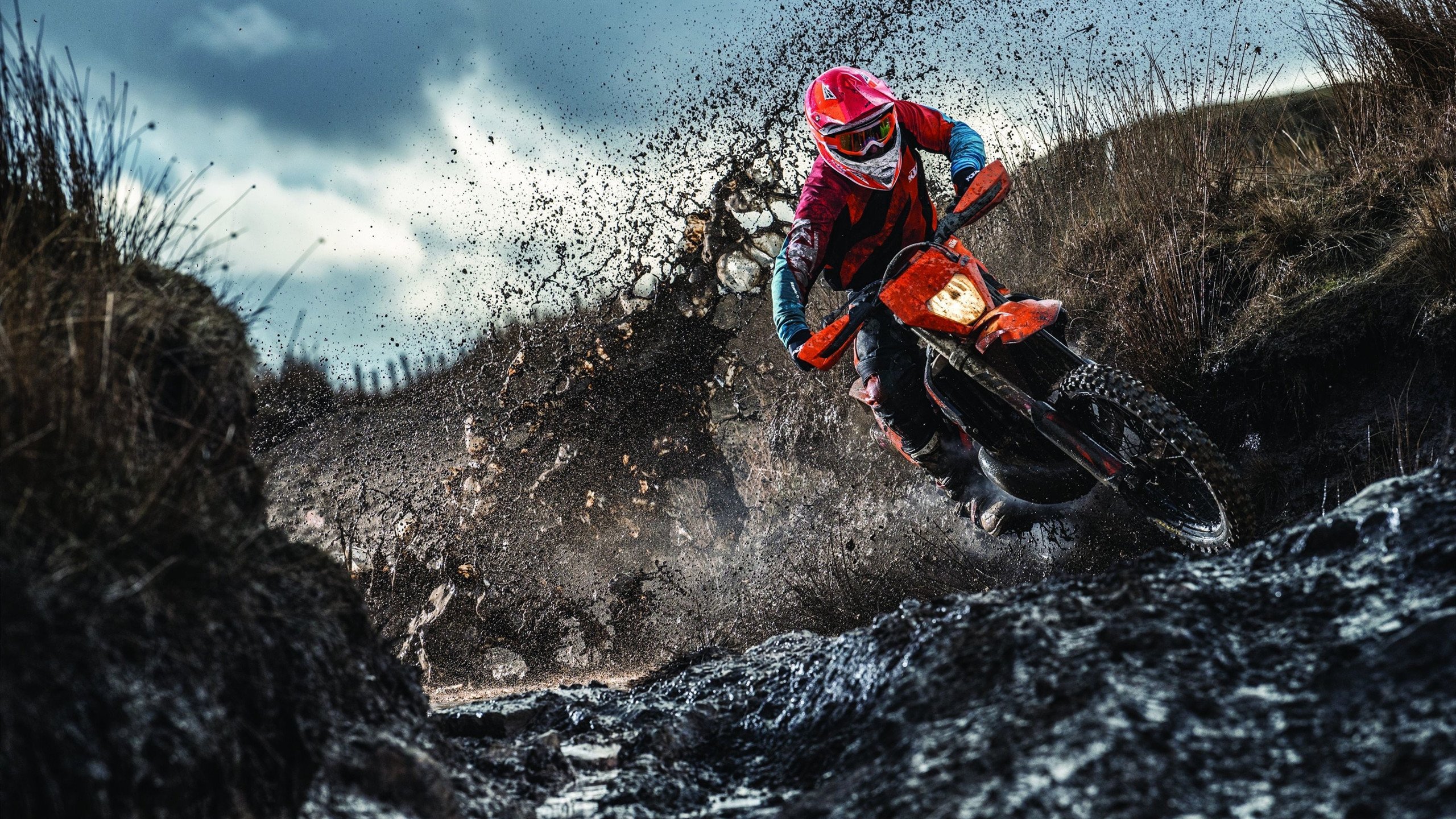 开云下载-赛道双星，梅赛德斯的精密完胜与维斯塔潘的烈焰突围