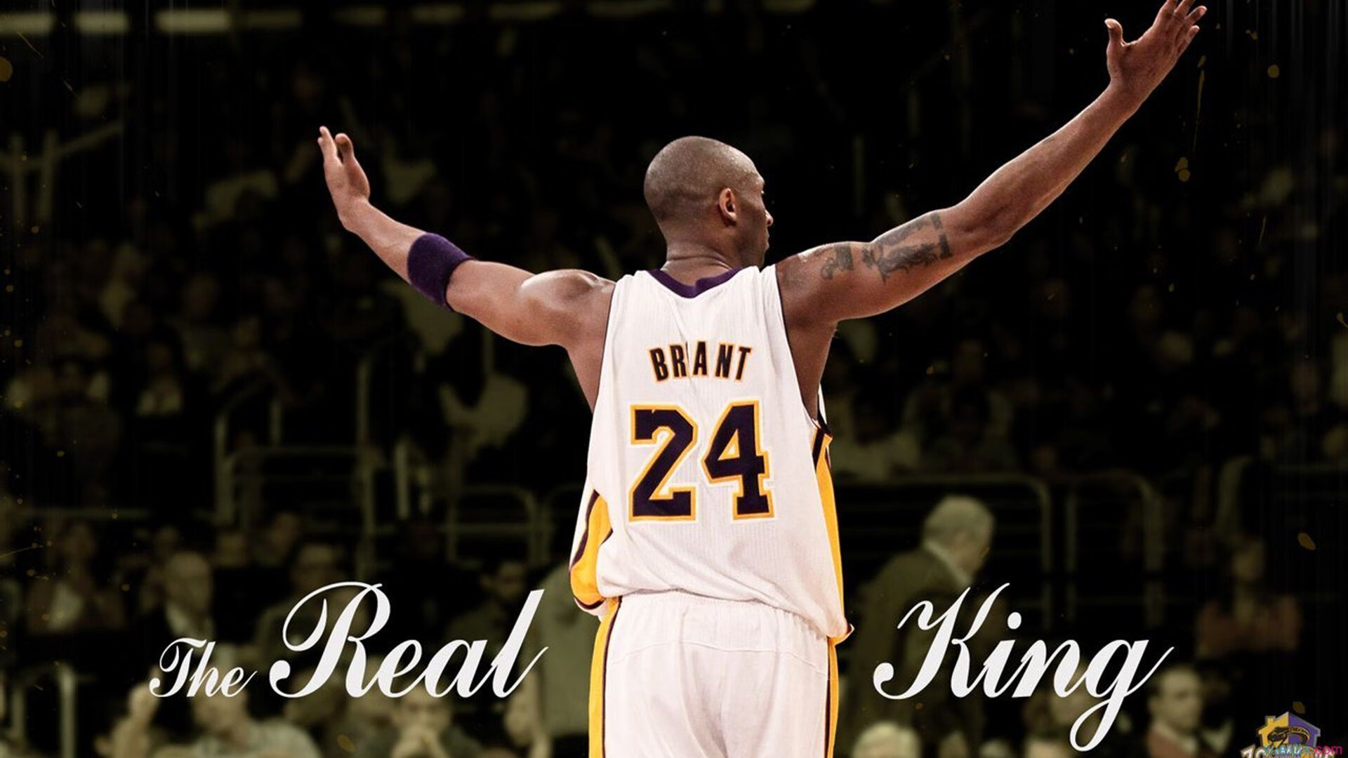 赛道即棋局，雷诺车队的毫厘豪赌与汉密尔顿的逆袭神迹